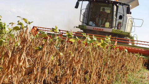 L'objectif est d'éviter la surmaturité des parcelles de soja, ainsi que les pluies.