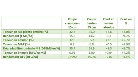 Impact de la hauteur de coupe du maïs