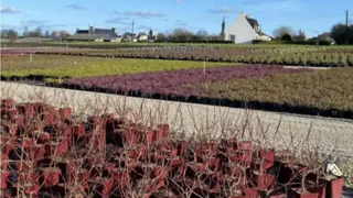 Les rendez-vous annuels des bonnes pratiques aborderont les enjeux autour des plastiques en productions horticoles. Les rendez-vous annuels des bonnes pratiques aborderont les enjeux autour des plastiques en productions horticoles.