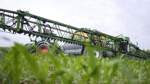 Maïsadour a signé, début 2024, un partenariat exclusif avec BASF pour expérimenter la solution One Smart Spray sur les cultures de maïs.