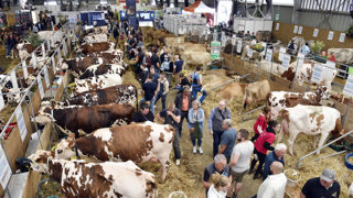 Avec l'aval des autorités sanitaires, les concours et présentations animales ont été maintenus sur le Space 2024.