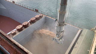 Les exportations françaises de blé tendre diminueraient de 39 % en 2024-2025 par rapport à 2023-2024. Les exportations françaises de blé tendre diminueraient de 39 % en 2024-2025 par rapport à 2023-2024.