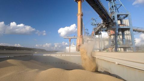 A Rouen, les volumes de blé tendre chargés sur les bateaux à destination de l’export vont être, pour cette campagne 2024-2025, en très forte baisse.