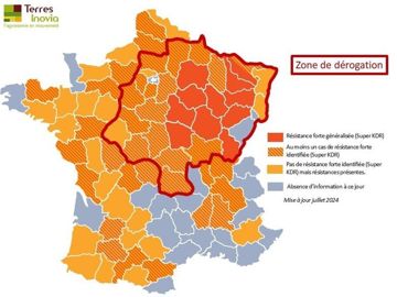 Zone de dérogation pour Minecto Gold