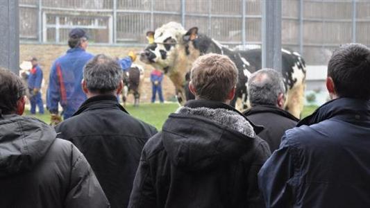 Visite d'élevage
