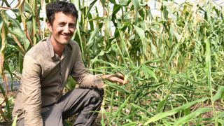 Masato Fujisaky, maraîcher à Blois, plante son gingembre à la mi-mai après sa récolte de pommes de terre.