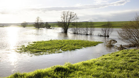 Plus d’un département sur deux a connu des inondations entre le mois de novembre 2023 et le mois de juin 2024, selon un rapport de la mission de contrôle du Sénat.