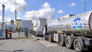 La FRSEA Ouest demande à Lactalis « d’assumer ses décisions » concernant l'arrêt de collecte de certains éleveurs laitiers. La FRSEA Ouest demande à Lactalis « d’assumer ses décisions » concernant l'arrêt de collecte de certains éleveurs laitiers.