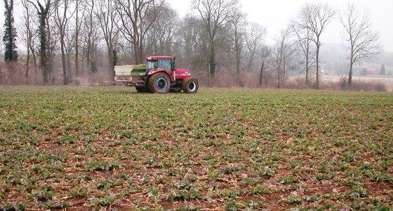 Fertilisation d'une parcelle de colza.