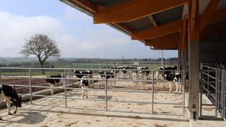 Le Cirveau, station expérimentale de Mauron (Morbihan), est conçu pour promouvoir une filière veau de boucherie française.
