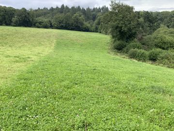 Prairies avec trace des rounds de foin