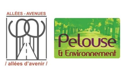L'association national Allées-Avenues / Allées d'avenir / organise cet événement dans la ville de Montgeron (Essonne) en partenariat avec l'association locale Pelouse & Environnement.