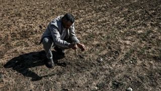 Les récoltes céréalières sont en-deça des attentes des agriculteurs au Maroc. Les récoltes céréalières sont en-deça des attentes des agriculteurs au Maroc.