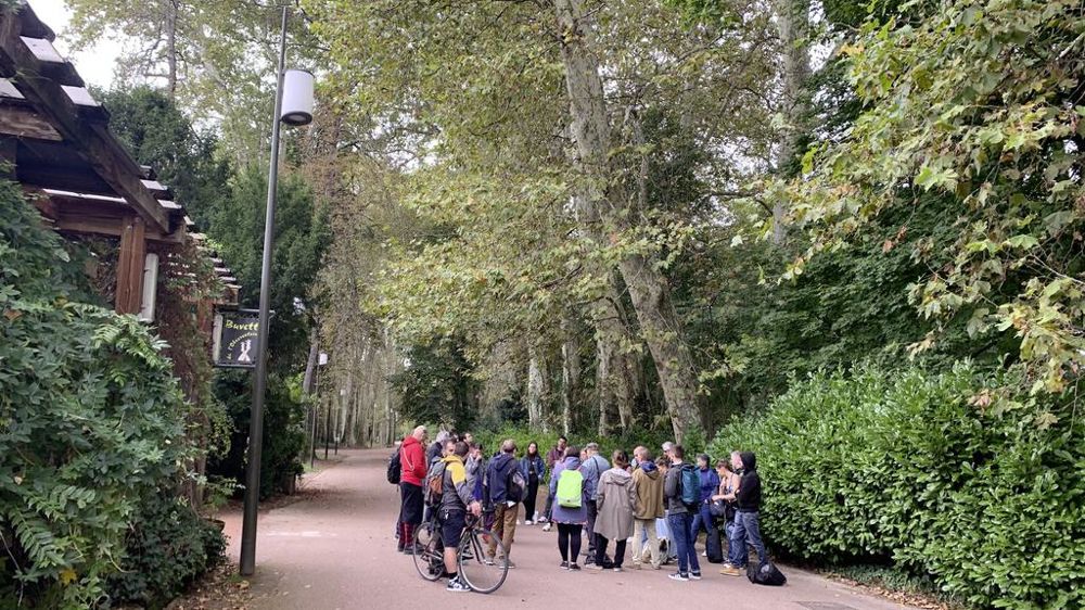 Le 24 septembre 2024, une journée technique sur le chancre coloré du platane a été proposée à Lyon par Plante & Cité. L’occasion de faire le point sur la législation qui évolue, les difficultés rencontrées sur le terrain et d’échanger sur l’avenir de l’arbre dans les zones touchées, qui semble bien compromis !