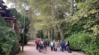 Le 24 septembre 2024, une journée technique sur le chancre coloré du platane a été proposée à Lyon par Plante & Cité. L’occasion de faire le point sur la législation qui évolue, les difficultés rencontrées sur le terrain et d’échanger sur l’avenir de l’arbre dans les zones touchées, qui semble bien compromis !