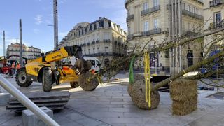 Selon la dernière analyse des performances économique du paysage rendue publique pour l’Unep, l’activité du secteur a progressé de 2 % au cours des six premiers mois de 2024.
