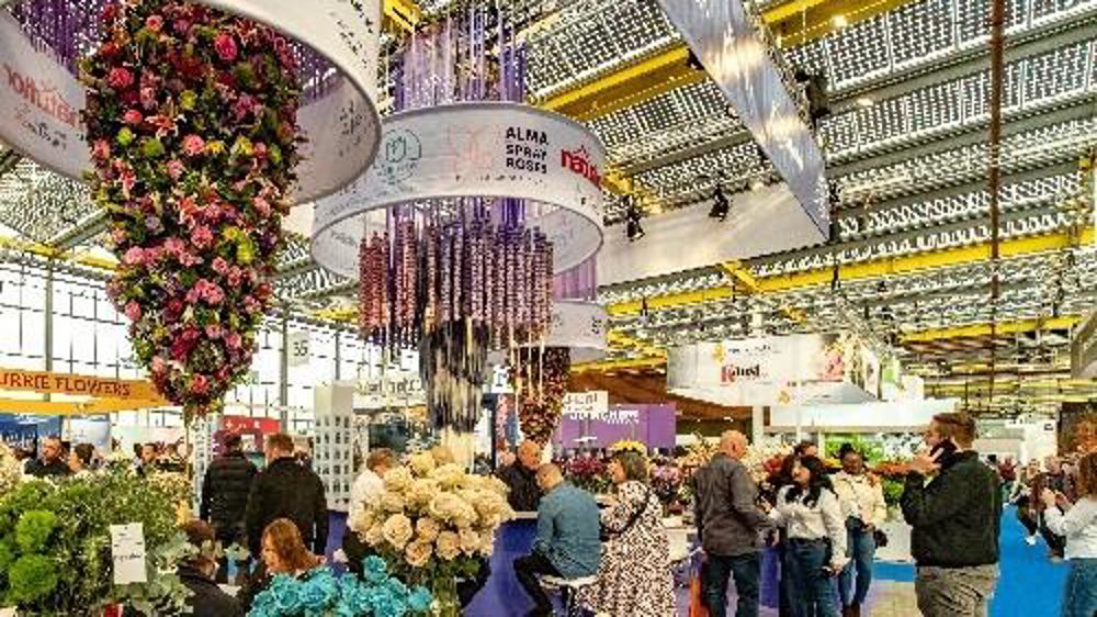 Chaque automne, la floriculture mondiale se rencontre près d’Aalsmeer, aux Pays-Bas.