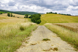 Pour invoquer la possession d'un chemin par prescription acquisitive il faut remplir certaines conditions précises. Pour invoquer la possession d'un chemin par prescription acquisitive il faut remplir certaines conditions précises.