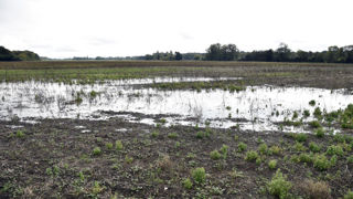Certaines communes affectées par des excès de pluie de longue durée sont éligibles au versement d'une indemnisation de solidarité nationale.