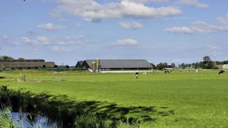 Les cas ont été détectés sur les communes de Stichtse Vecht et Woerden, entre Amsterdam et Rotterdam. Les cas ont été détectés sur les communes de Stichtse Vecht et Woerden, entre Amsterdam et Rotterdam.