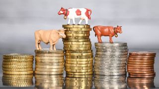 L'inflation entraîne une hausse plus ou moins artificielle de la valeur des stocks sur les exploitations. L'inflation entraîne une hausse plus ou moins artificielle de la valeur des stocks sur les exploitations.