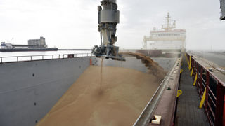 « Les échanges mondiaux de céréales devraient diminuer de 36 millions de tonnes par rapport au pic de l'an dernier, pour atteindre 419 millions de tonnes », estime le CIC.