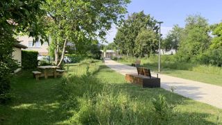 A l'instar de ce qui se fait dans de nombreuses villes, moins tondre et moins tailler permet au jardinier amateur de consacrer moins de temps à son jardin. L'un des podcasts enregistrés au Salon du végétal désormais disponibles sur le site internet du salon portait sur cette thématique.