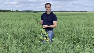 Mathieu Pot a diversifié sa rotation avec des protéagineux.