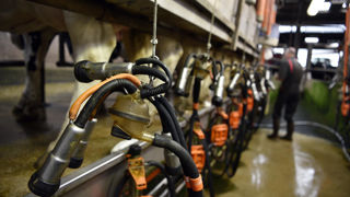 La FNPL souhaite que « l’incertitude dans laquelle sont plongés les producteurs livrant à Savencia via l’Association d’OP, Sunlait, soit rapidement levée ».