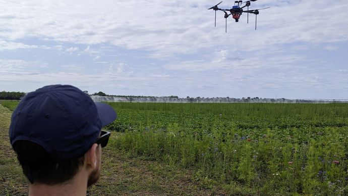Un drone muni d'un capteur multispectral détecte les adventices en un ou deux passages.