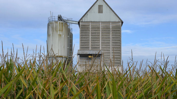 N'ayant plus les moyens d'entretenir, de moderniser et d'investir dans le réseau de silos, les fédérations de coopératives et négoces planchent sur le projet Infrastructures 2030.