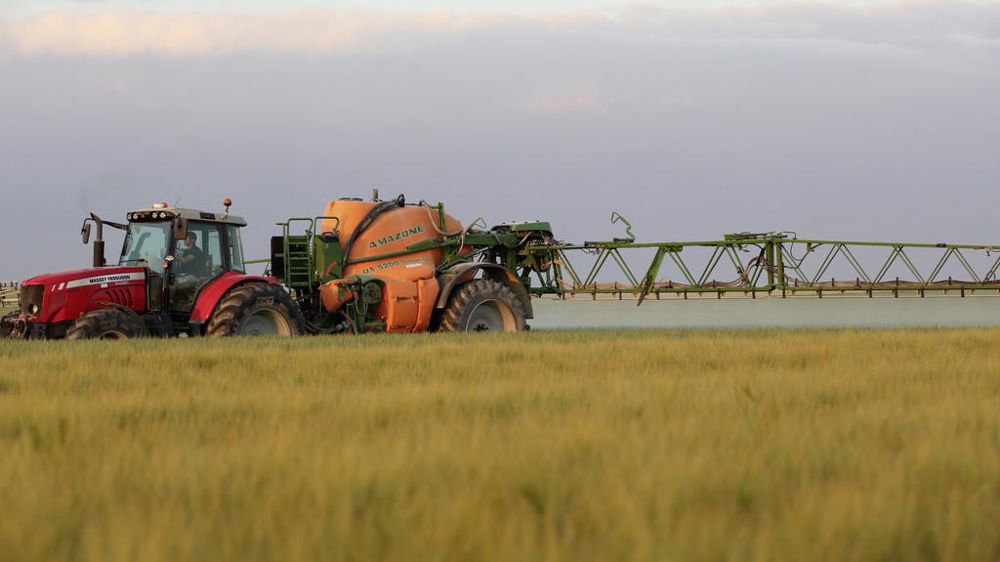 À compter du 1er novembre, BASF commercialisera les produits EliSun-a et EliGrain-a d'Elicit Plant.