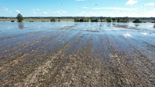 En raison des intempéries, plusieurs départements ont reçu l'autorisation d'étendre les dates limites d'épandage prévues par la directive nitrates au 15 novembre, tandis que d'autres sont encore dans l'attente. En raison des intempéries, plusieurs départements ont reçu l'autorisation d'étendre les dates limites d'épandage prévues par la directive nitrates au 15 novembre, tandis que d'autres sont encore dans l'attente.