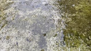 Dans le Var, 100 à 150 mm de pluie sont attendus ce vendredi 25 octobre 2024. Dans le Var, 100 à 150 mm de pluie sont attendus ce vendredi 25 octobre 2024.