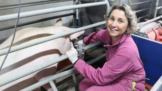 « Le cycle de production du porc permet une pratique régulière de la technique », explique Sylvia David, éleveuse de porcs en Bretagne.