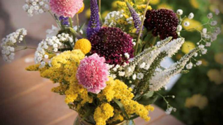 Gamme des fleurs à bouquets. Gamme des fleurs à bouquets.