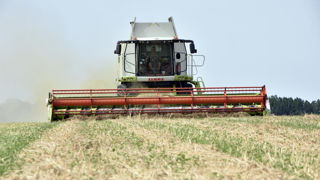 L'avancée rapide des récoltes mondiales permet de limiter la hausse des prix en céréales et oléagineux.