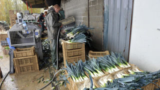 Un employé dans le secteur agricole à Saclay.