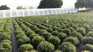 Le projet projet COCON, mené par Astredhor, expérimente des solutions connectées pour lutter contre les chenilles en cultures horticoles, et contre la recrudescence de lépidoptères ravageurs émergents. Le projet projet COCON, mené par Astredhor, expérimente des solutions connectées pour lutter contre les chenilles en cultures horticoles, et contre la recrudescence de lépidoptères ravageurs émergents.