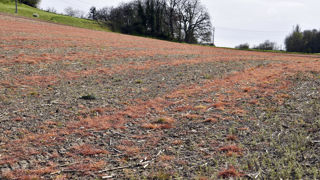 L'annulation de l'autorisation de mise sur le marché du Roundup Pro 360, prononcée le 15 janvier 2019, a été confirmée par le Conseil d’État le 23 octobre 2023.