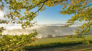 Météo-France annonce des conditions météorologiques plus sèches pour les jours à venir. Météo-France annonce des conditions météorologiques plus sèches pour les jours à venir.