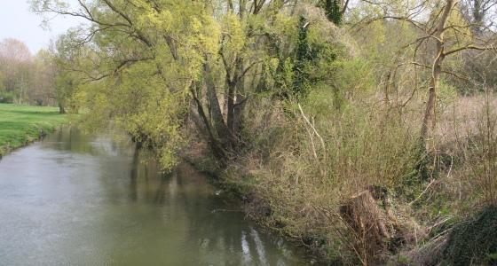 Cours d'eau