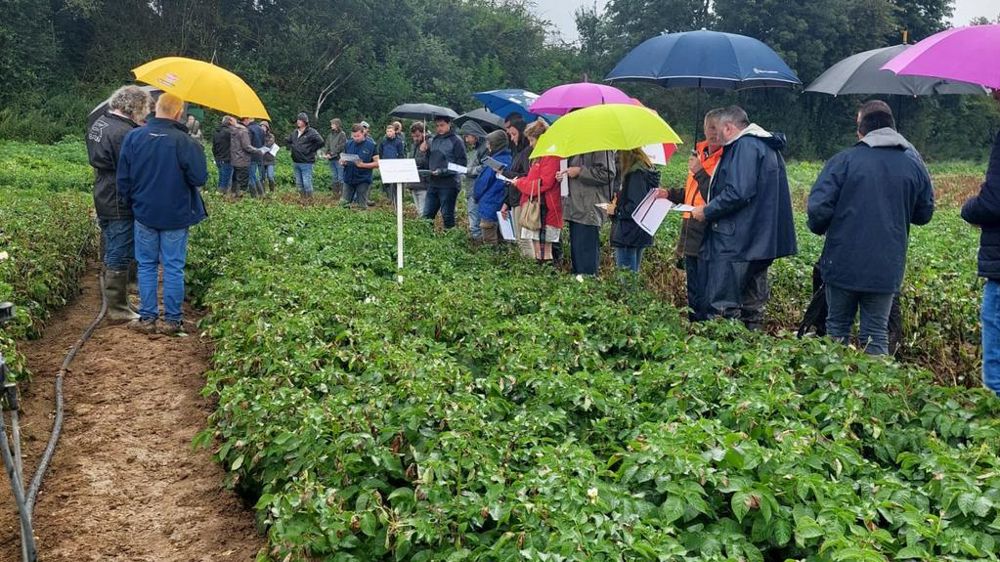 Plateforme d'essais phytosanitaires De Sangosse à Auchy-les-Mines Pas-deCalais