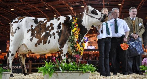 Normande salon de l'agriculture