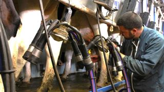 Sur les neuf premiers mois de 2024, la collecte française de lait est en hausse de 1,2 % par rapport à l'an dernier Sur les neuf premiers mois de 2024, la collecte française de lait est en hausse de 1,2 % par rapport à l'an dernier