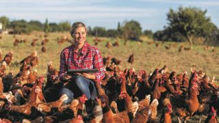 Le référentiel finalisé pour l'étiquetage pourra s'appliquer à tous les produits issus des poules pondeuses. Le référentiel finalisé pour l'étiquetage pourra s'appliquer à tous les produits issus des poules pondeuses.