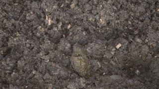 Les litières à base de bois sont épandus sur prairies principalement, à raison de 15 à 20 m³/ha.