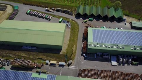 La coopérative Unicoque et ses adhérents se retrouvent face à une  impasse sanitaire pour la production de noisettes.