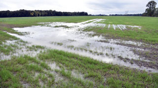 Entre le 1er janvier et le 31 octobre 2024, 789 mm de pluie sont tombés en moyenne nationale en France.
