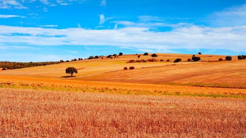 Au delà de la Pac, comment financer la transition agricole ? Au delà de la Pac, comment financer la transition agricole ?